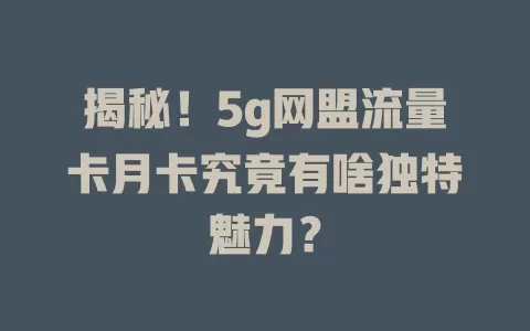 揭秘！5g网盟流量卡月卡究竟有啥独特魅力？
