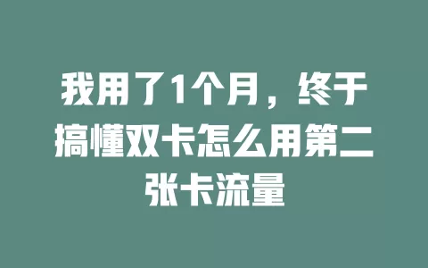 我用了1个月，终于搞懂双卡怎么用第二张卡流量