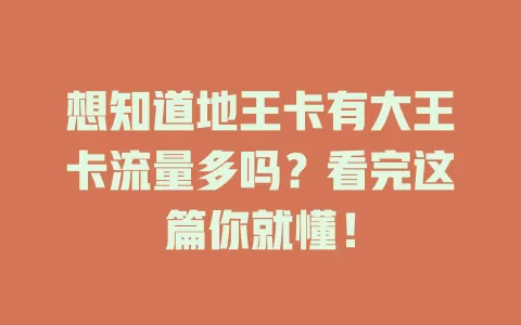 想知道地王卡有大王卡流量多吗？看完这篇你就懂！