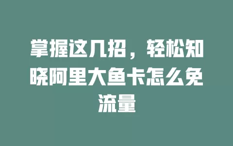 掌握这几招，轻松知晓阿里大鱼卡怎么免流量