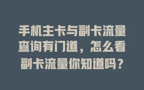 手机主卡与副卡流量查询有门道，怎么看副卡流量你知道吗？