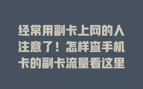 经常用副卡上网的人注意了！怎样查手机卡的副卡流量看这里
