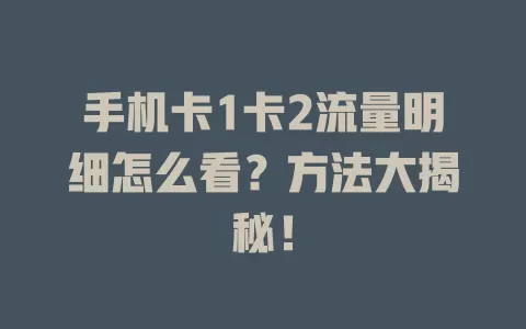 手机卡1卡2流量明细怎么看？方法大揭秘！