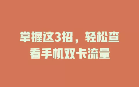 掌握这3招，轻松查看手机双卡流量
