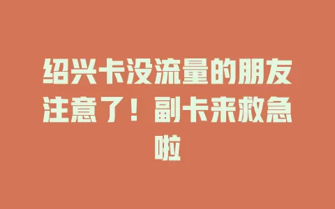 绍兴卡没流量的朋友注意了！副卡来救急啦