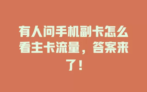 有人问手机副卡怎么看主卡流量，答案来了！