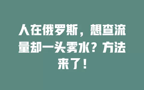 人在俄罗斯，想查流量却一头雾水？方法来了！