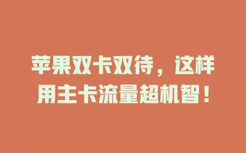 苹果双卡双待，这样用主卡流量超机智！