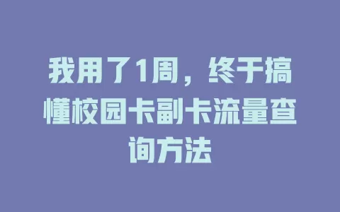 我用了1周，终于搞懂校园卡副卡流量查询方法