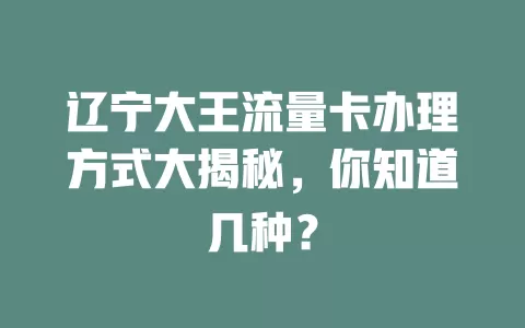 辽宁大王流量卡办理方式大揭秘，你知道几种？
