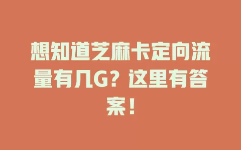 想知道芝麻卡定向流量有几G？这里有答案！