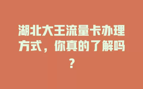 湖北大王流量卡办理方式，你真的了解吗？