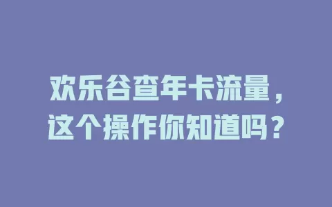 欢乐谷查年卡流量，这个操作你知道吗？