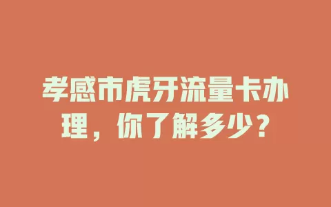 孝感市虎牙流量卡办理，你了解多少？