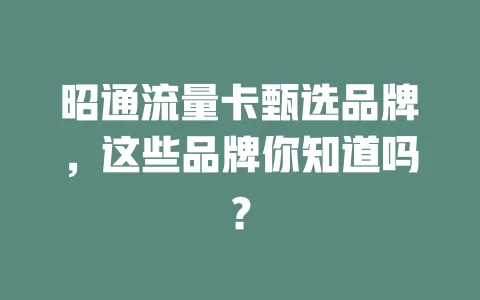 昭通流量卡甄选品牌，这些品牌你知道吗？