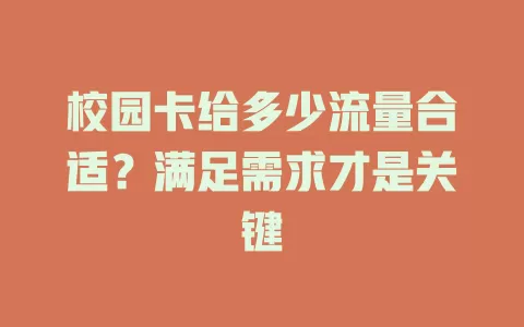 校园卡给多少流量合适？满足需求才是关键