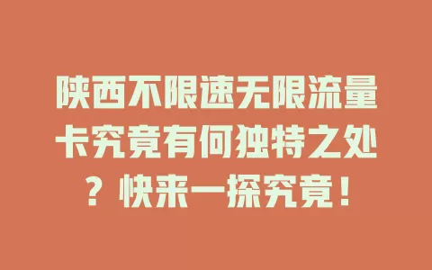 陕西不限速无限流量卡究竟有何独特之处？快来一探究竟！