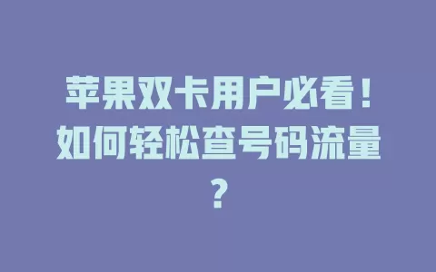 苹果双卡用户必看！如何轻松查号码流量？