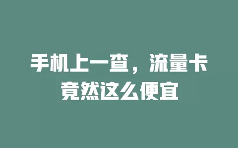 手机上一查，流量卡竟然这么便宜