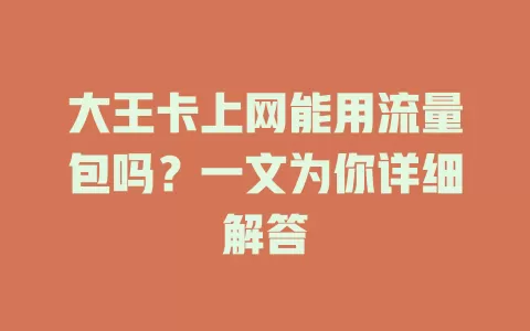 大王卡上网能用流量包吗？一文为你详细解答