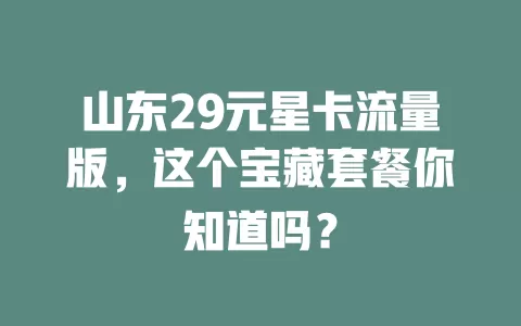 山东29元星卡流量版，这个宝藏套餐你知道吗？