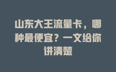 山东大王流量卡，哪种最便宜？一文给你讲清楚