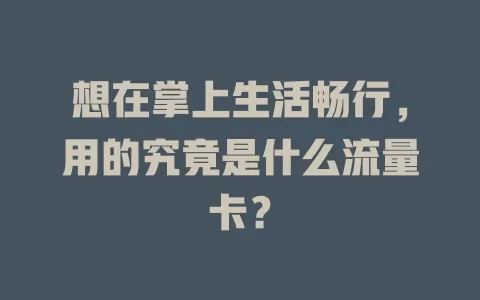 想在掌上生活畅行，用的究竟是什么流量卡？