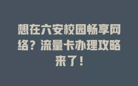 想在六安校园畅享网络？流量卡办理攻略来了！