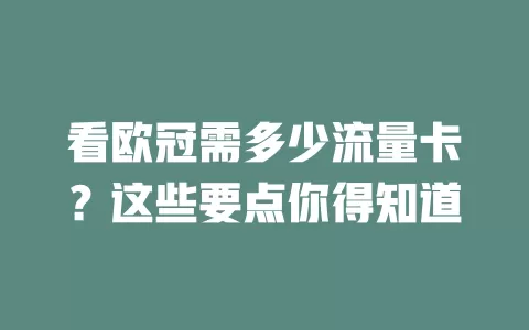 看欧冠需多少流量卡？这些要点你得知道