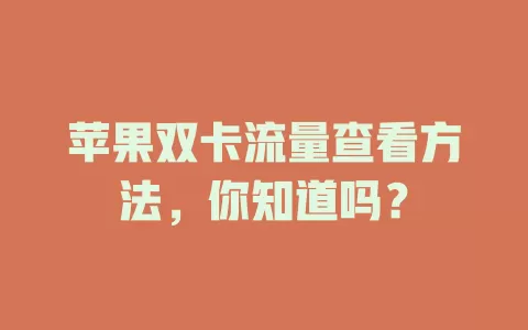 苹果双卡流量查看方法，你知道吗？