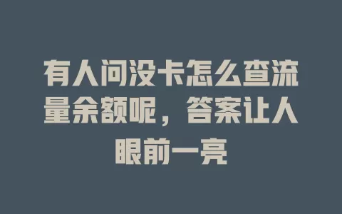 有人问没卡怎么查流量余额呢，答案让人眼前一亮