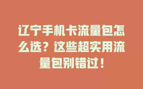 辽宁手机卡流量包怎么选？这些超实用流量包别错过！