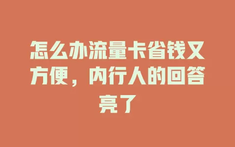 怎么办流量卡省钱又方便，内行人的回答亮了