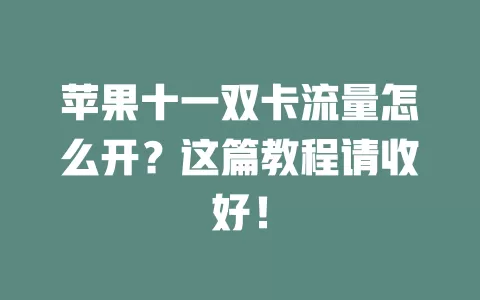 苹果十一双卡流量怎么开？这篇教程请收好！