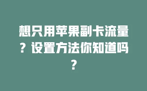 想只用苹果副卡流量？设置方法你知道吗？