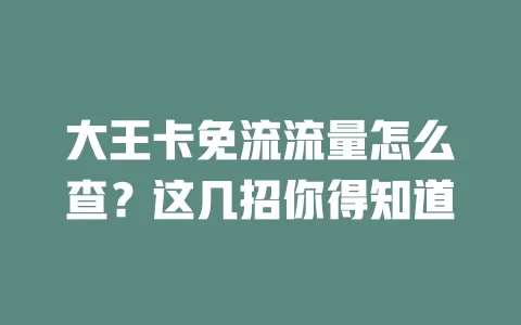 大王卡免流流量怎么查？这几招你得知道