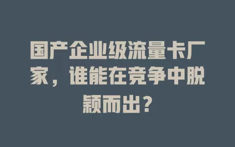 国产企业级流量卡厂家，谁能在竞争中脱颖而出？
