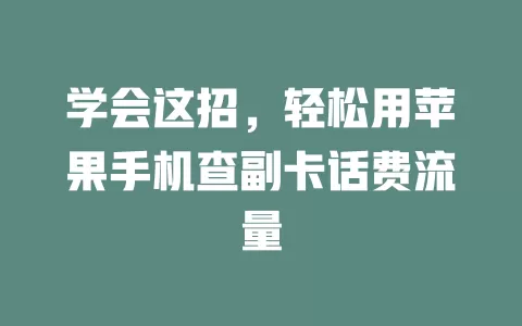 学会这招，轻松用苹果手机查副卡话费流量