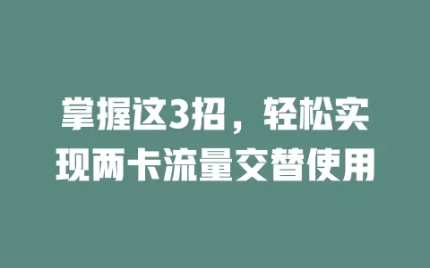 掌握这3招，轻松实现两卡流量交替使用