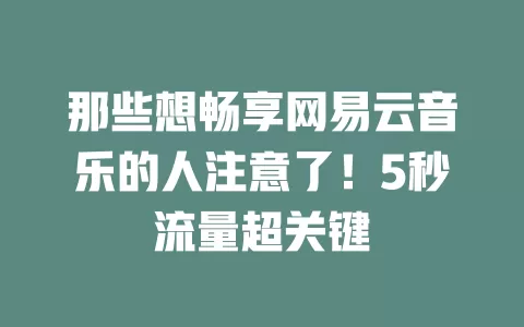 那些想畅享网易云音乐的人注意了！5秒流量超关键