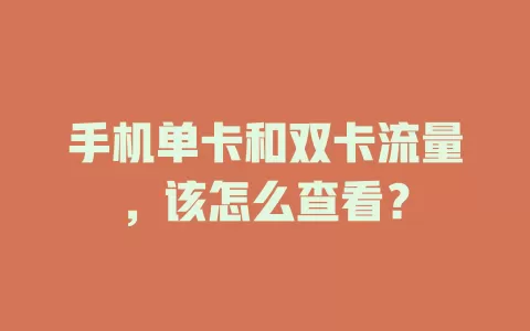 手机单卡和双卡流量，该怎么查看？
