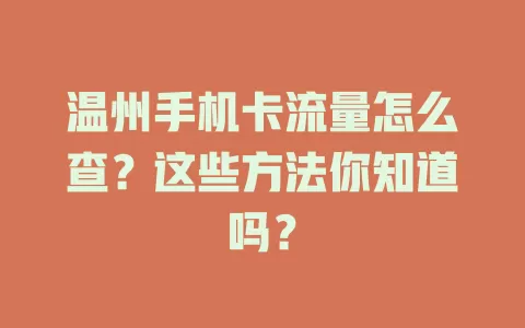 温州手机卡流量怎么查？这些方法你知道吗？