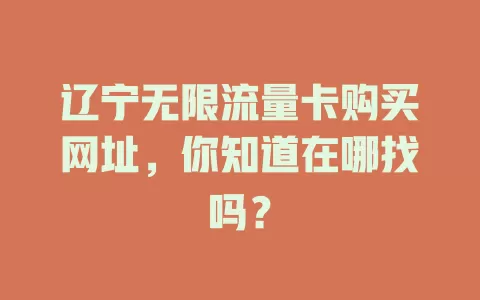 辽宁无限流量卡购买网址，你知道在哪找吗？