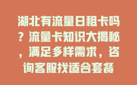 湖北有流量日租卡吗？流量卡知识大揭秘，满足多样需求，咨询客服找适合套餐