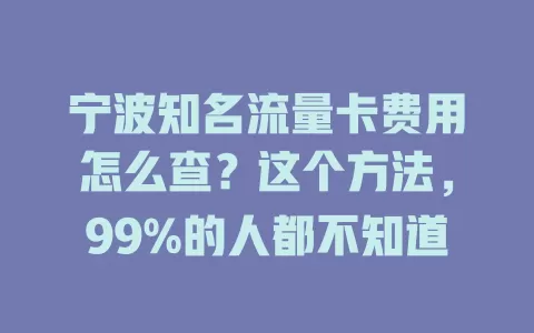 宁波知名流量卡费用怎么查？这个方法，99%的人都不知道