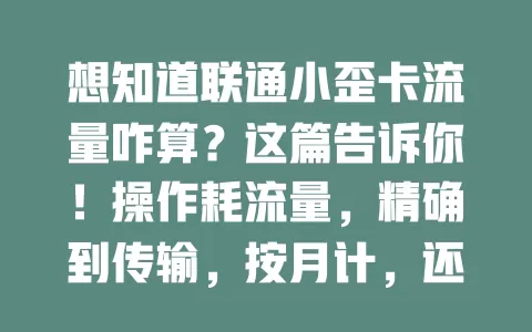 想知道联通小歪卡流量咋算？这篇告诉你！操作耗流量，精确到传输，按月计，还有优惠，助你规划避免超支，畅快用卡畅游数字世界