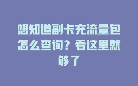 想知道副卡充流量包怎么查询？看这里就够了