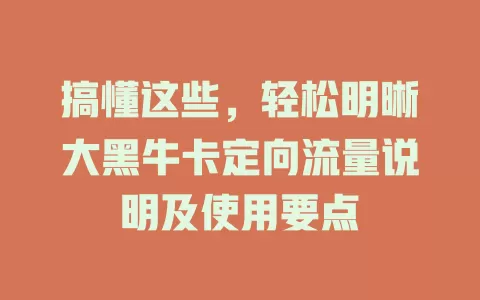 搞懂这些，轻松明晰大黑牛卡定向流量说明及使用要点