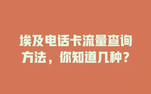 埃及电话卡流量查询方法，你知道几种？