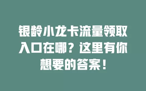 银龄小龙卡流量领取入口在哪？这里有你想要的答案！